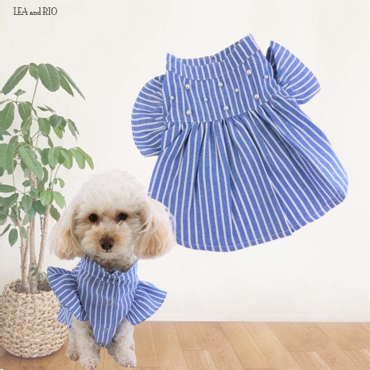 ワンピース P129 犬服 猫服 ドックウェア ドッグウエア ブルー 青