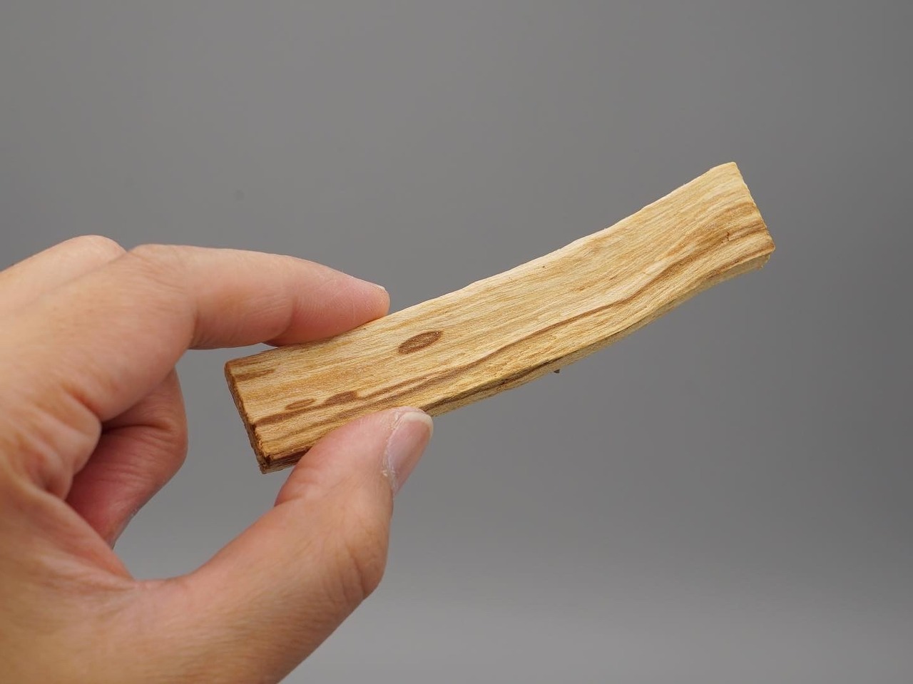 Fragrant Caudex Series 03 / Palo Santo(パロサント) - 3