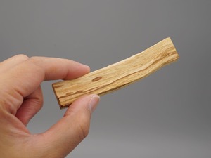 Fragrant Caudex Series 03 / Palo Santo(パロサント)