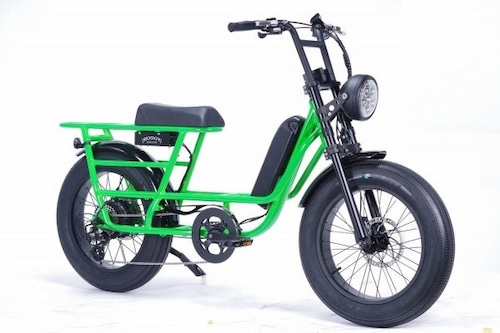 BRONX Buggy 20 STRETCH e-bike (Mantis)