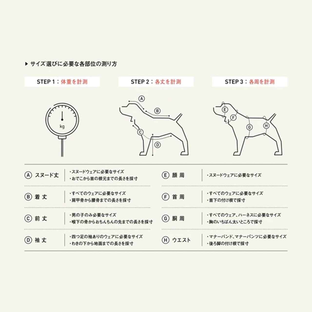 ALPHAICON [アルファアイコン] RAIN DOG GUARD [26RDG] レインドッグ