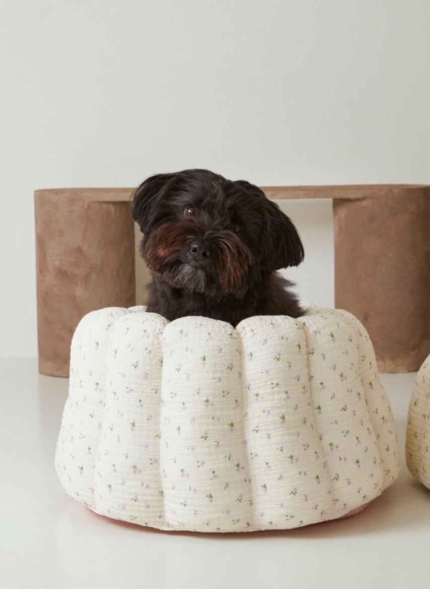 SM/即納【azalea】mellow canele (Violet)