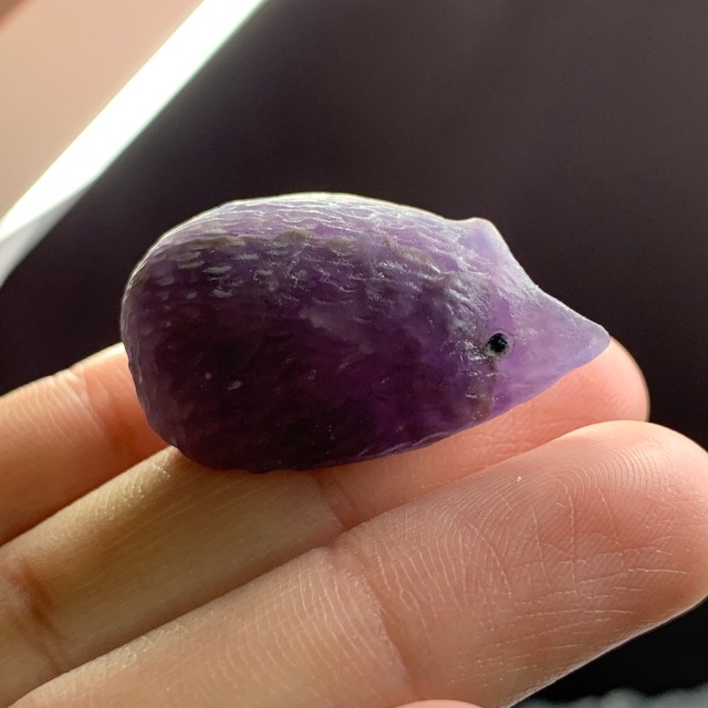 71大家族☆フローライトハリネズミさん