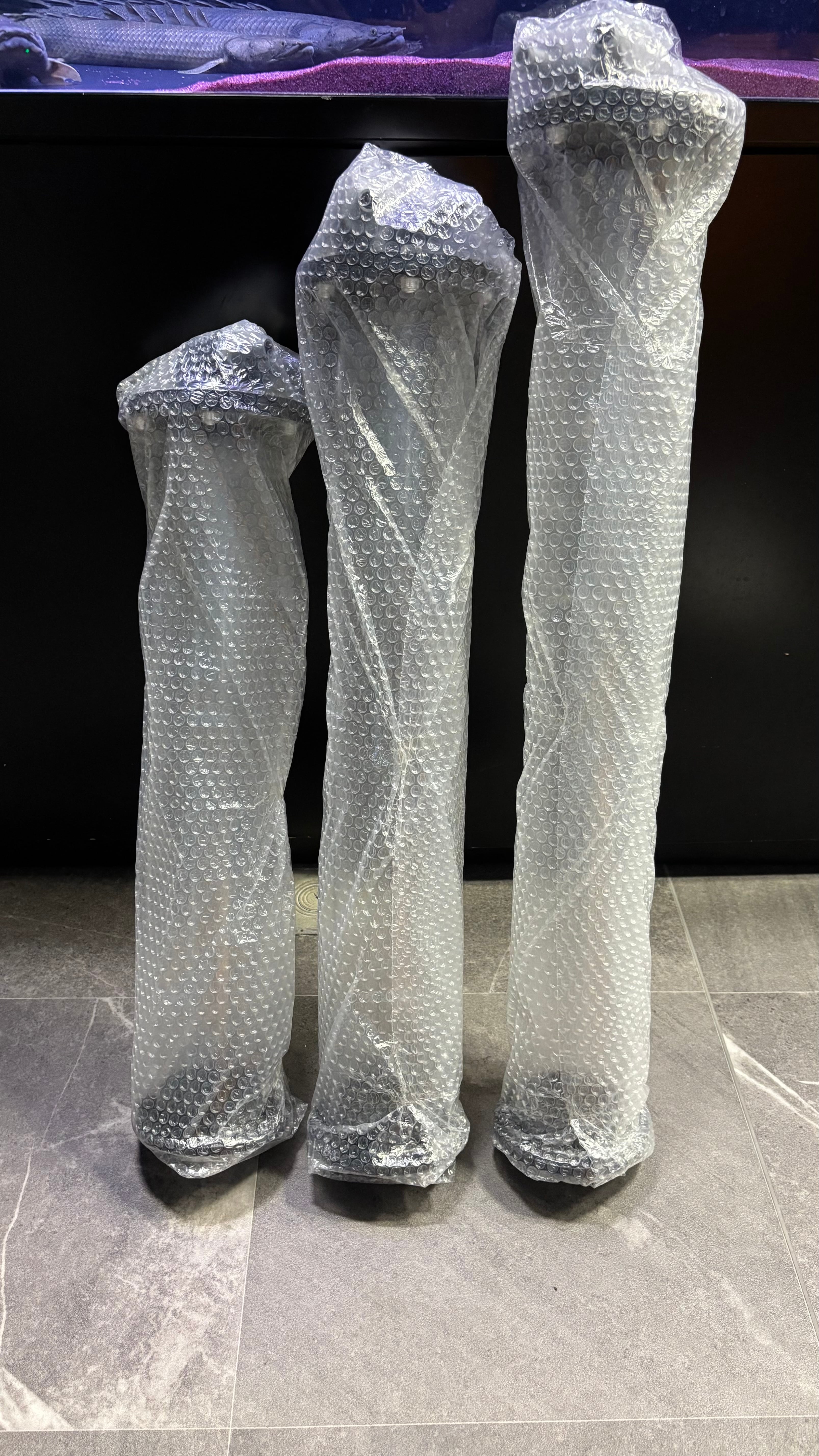 bf53c6a6b6a004fce3ec94198156e5