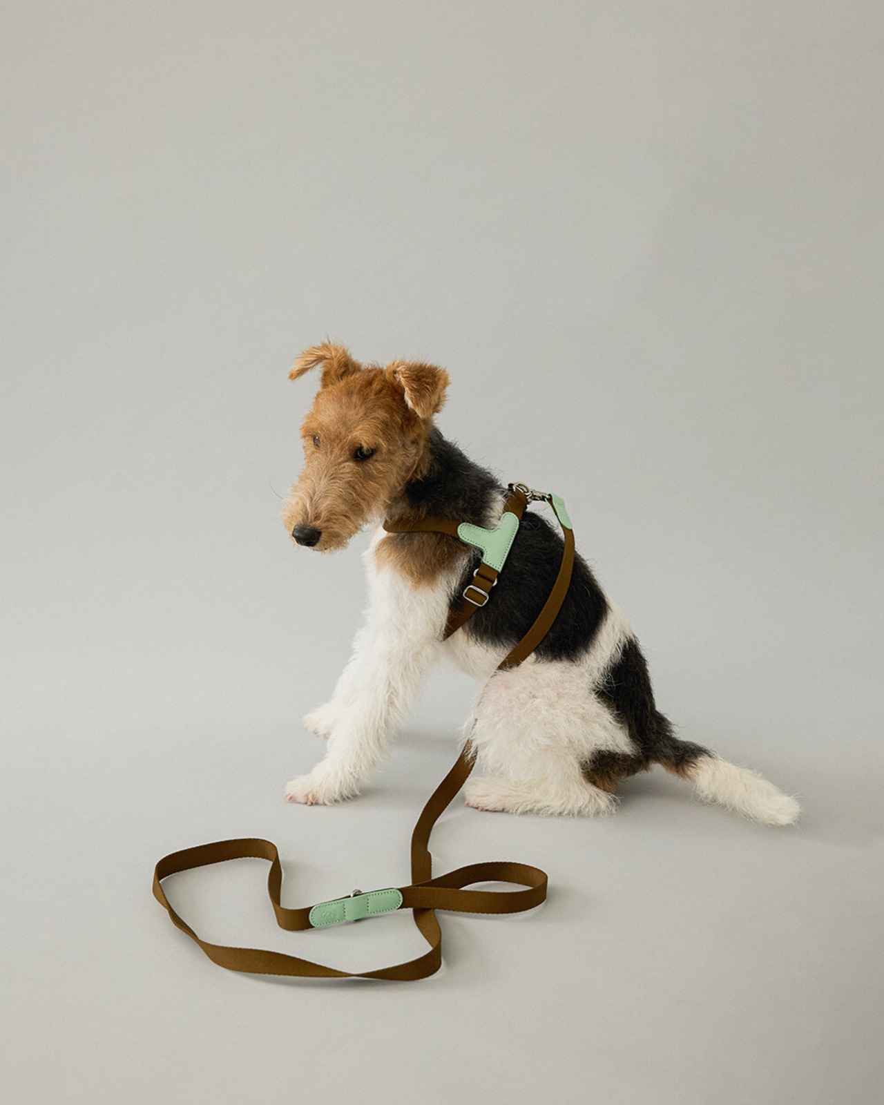 【即納】GOPE Picture Dog Leash｜Mint × Brown - 7