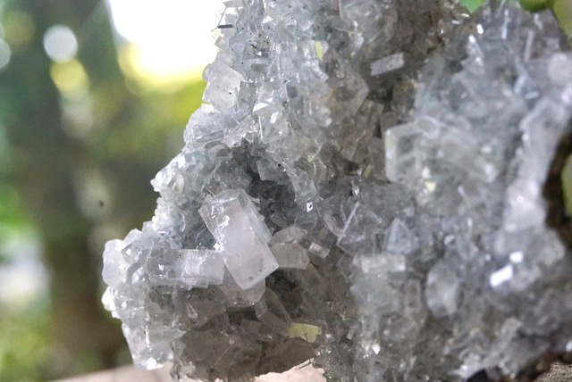 バライト/パイライト　Baryte / Pyrite