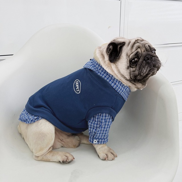 Dog wear　-Layered-style pullover-　　dogw-236