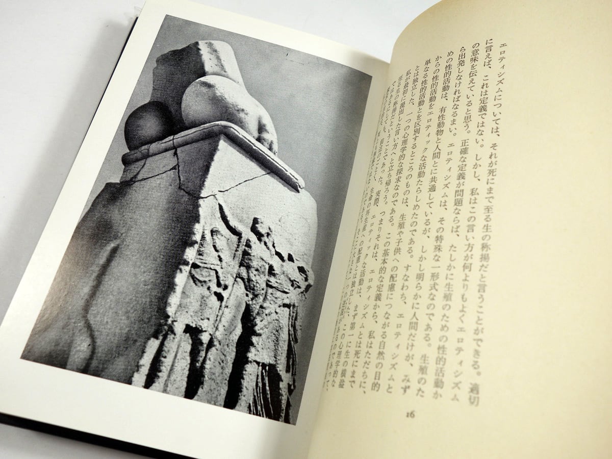 エロティシズム（ジョルジュ・バタイユ 著、澁澤龍彦 訳） | bookstore
