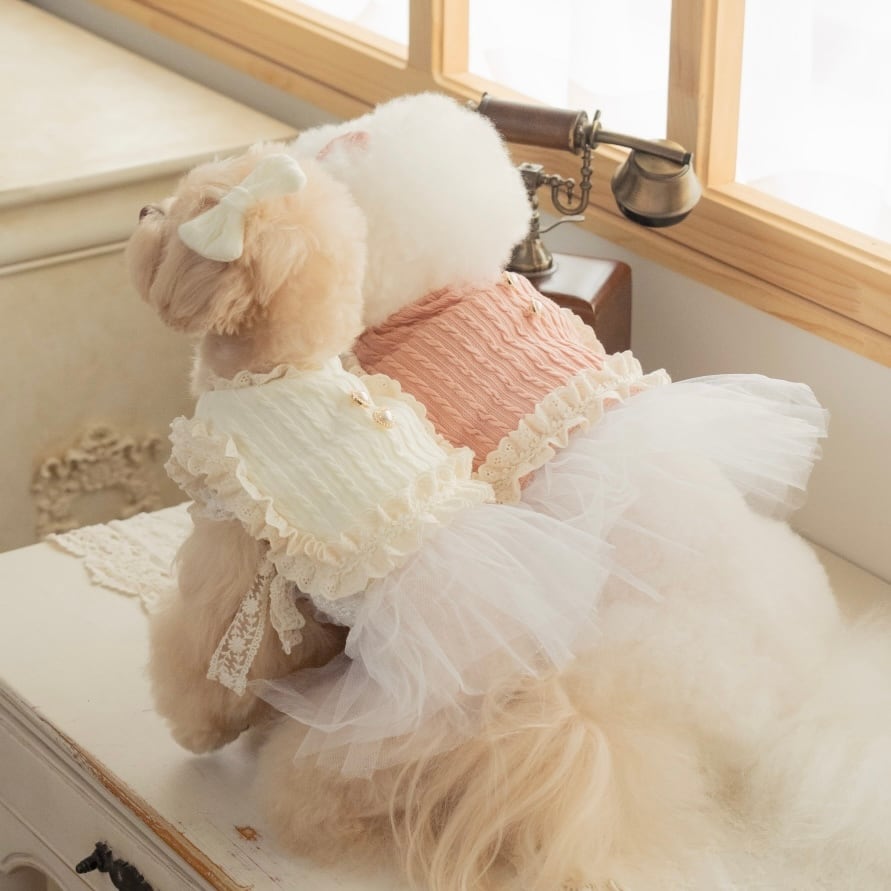 【Dailypetchon】Bongbong Lovely Knit Bustier