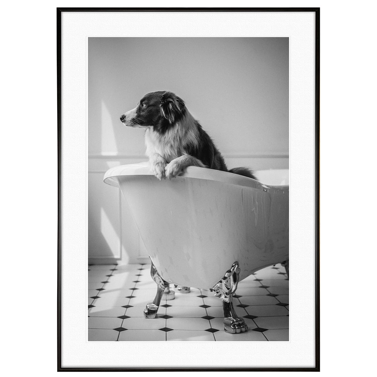 動物写真 バスタブの犬 インテリア モノクロアートポスター額装 AS4149
