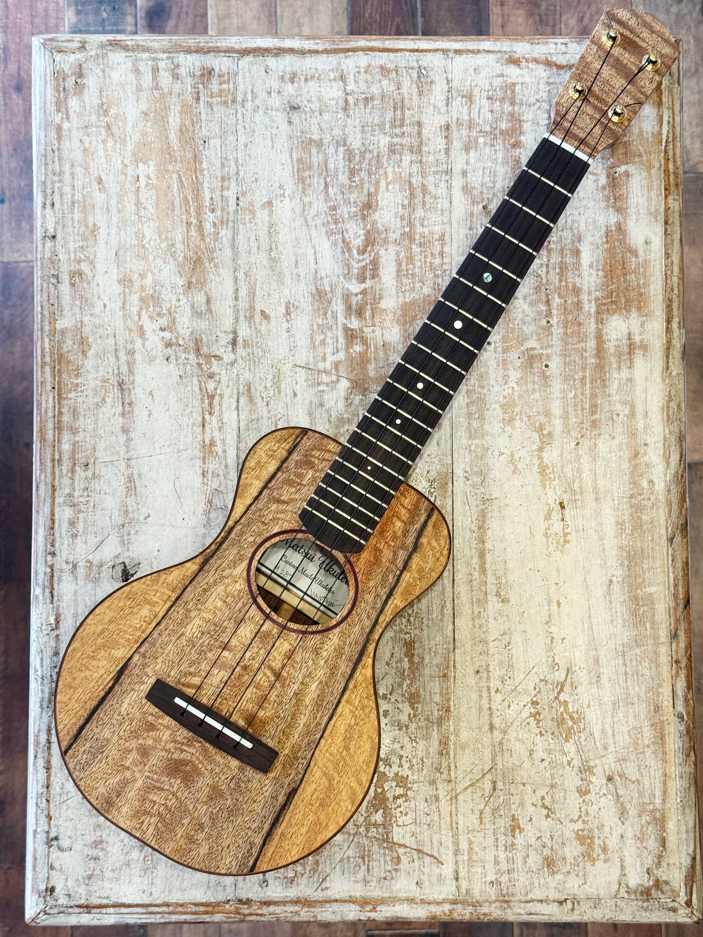 コンサート | ファインウクレレ