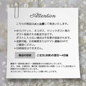 【coming soon…】477P ソレイユアシンメトリーピアス