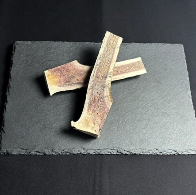 【季節限定】エゾ鹿ツノ・半割 ２本