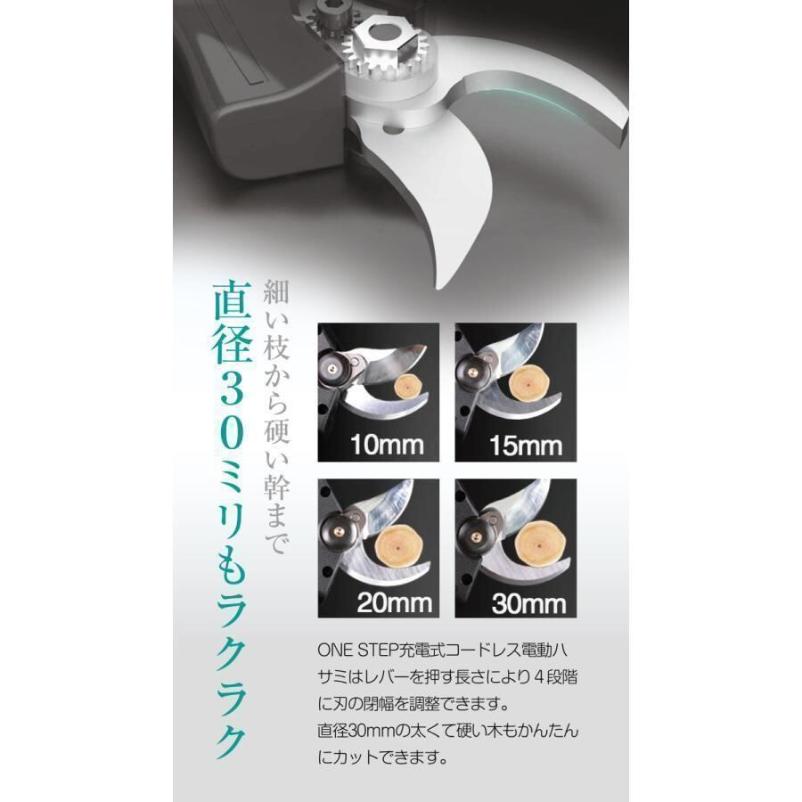 新品】電動 剪定ばさみ（ケース付き）園芸用 コードレス 充電式