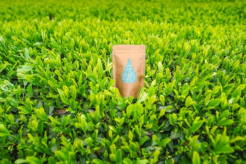 【新茶】みず出し緑茶 6g×12袋