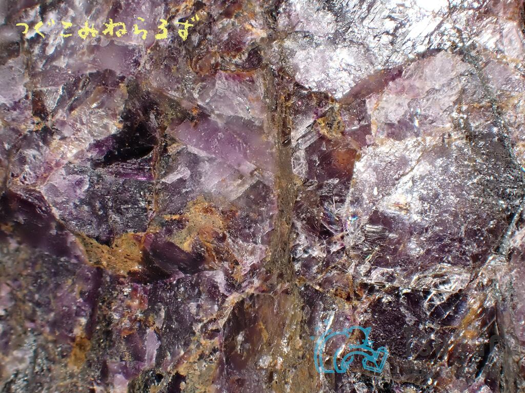 フローライト 蛍石 モンゴル TM-1114 Ex. Aneta Piotrowska