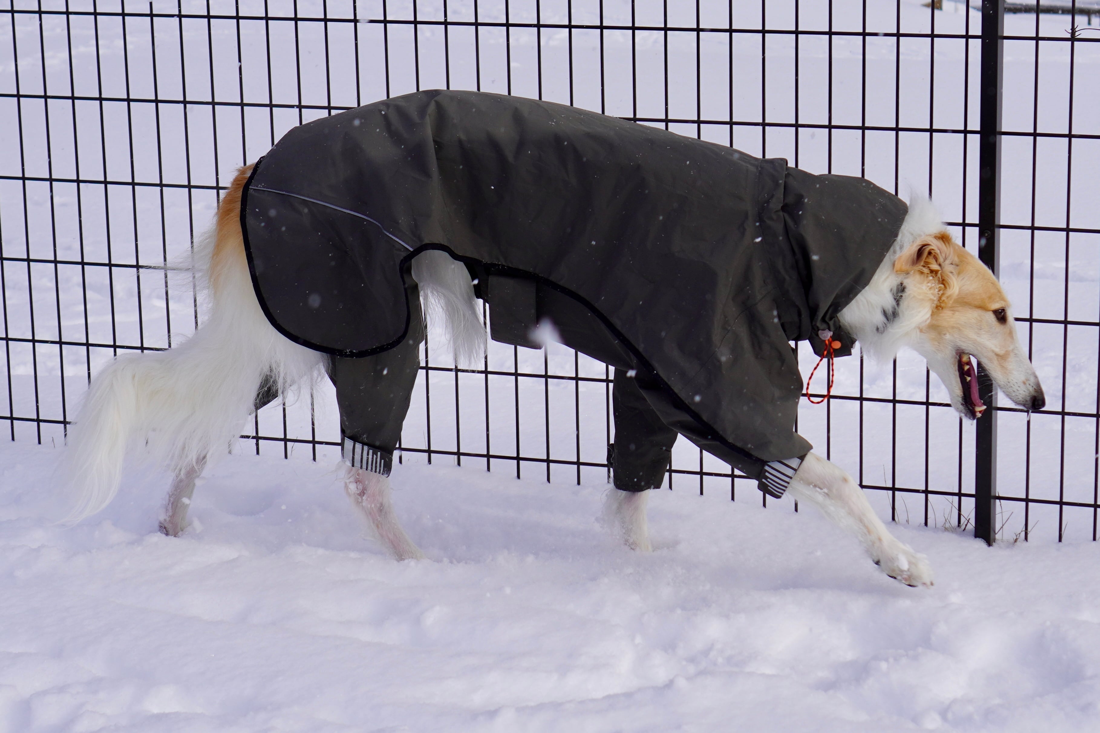 mont-bell大型犬用レインコート モンベルmontbellドッグレインスーツ