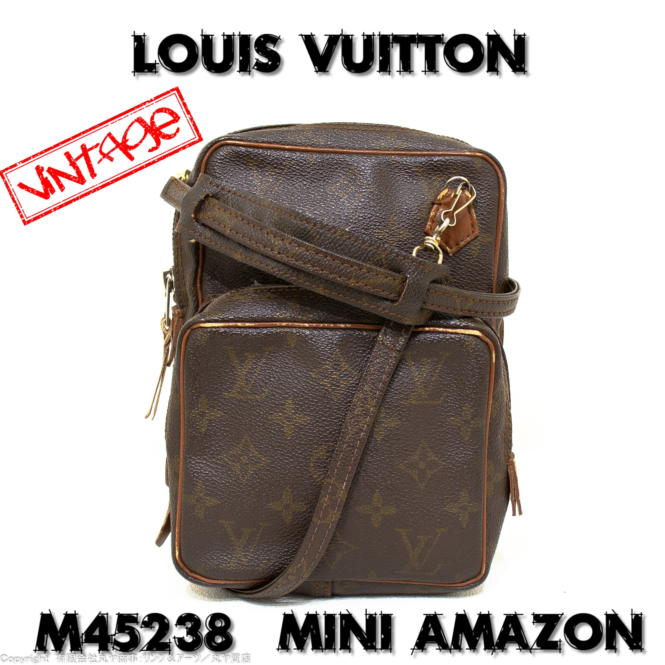 LOUIS VUITTON ルイ・ヴィトン ショルダーバッグ ミニ アマゾン 斜め掛け M45238 ゴールド金具 美品  51383