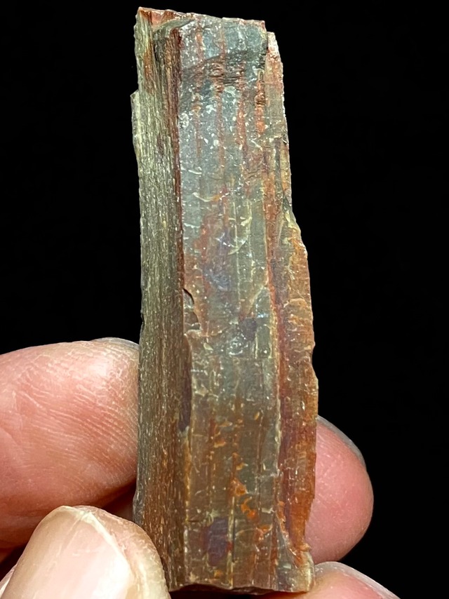 1) 古代の叡智へのアクセス！マウントシャスタ「珪化木」原石(小型)