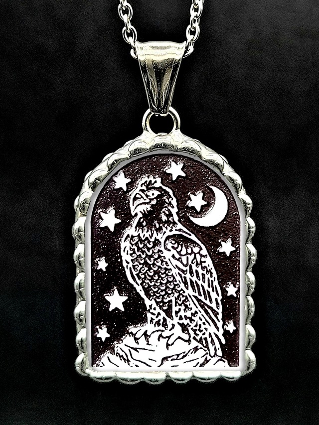 月窓 - オオワシ