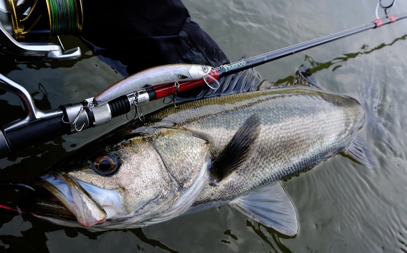 Huerco XT711-5S フエルコ 【公式通販】