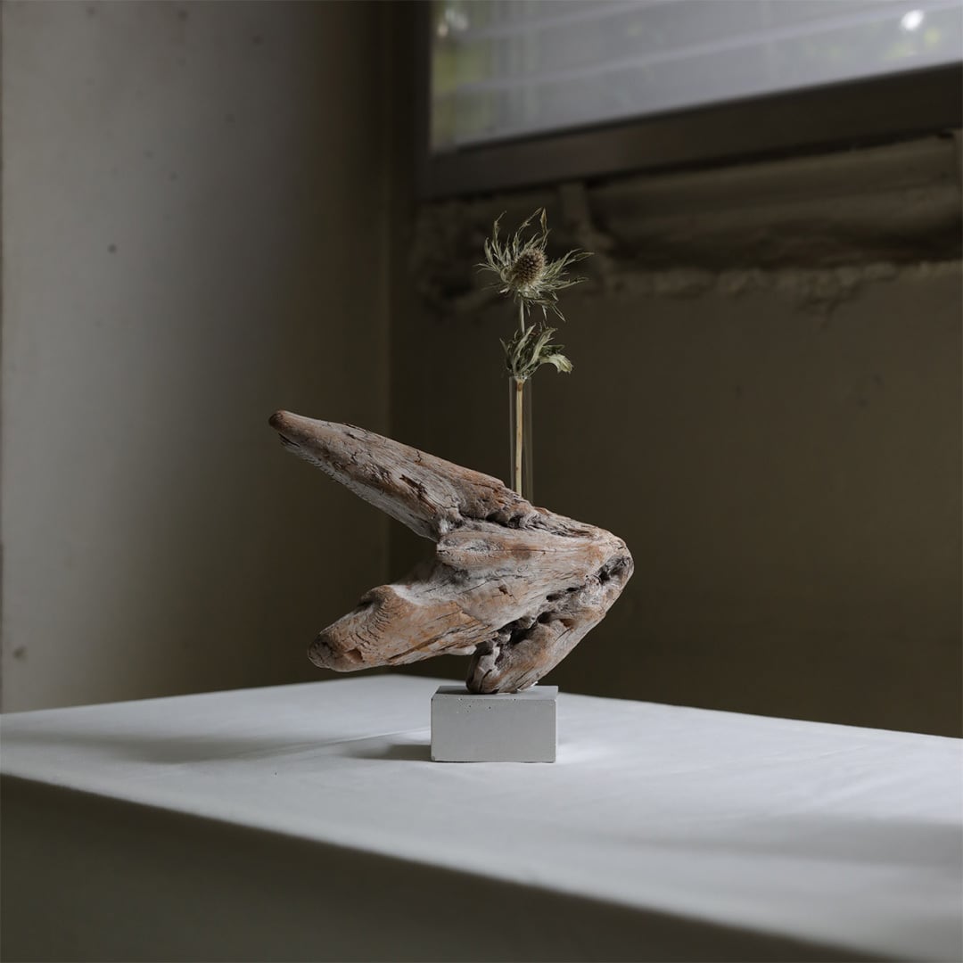 saisei (再生) driftwood flower vase cement 無塗装 | FREEPARK