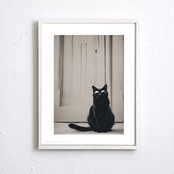 Black Cat｜サングラスをかけた黒猫のアートポスター｜モノトーンやポップインテリアに合うモダンデザイン｜額縁セット｜A4ポスター