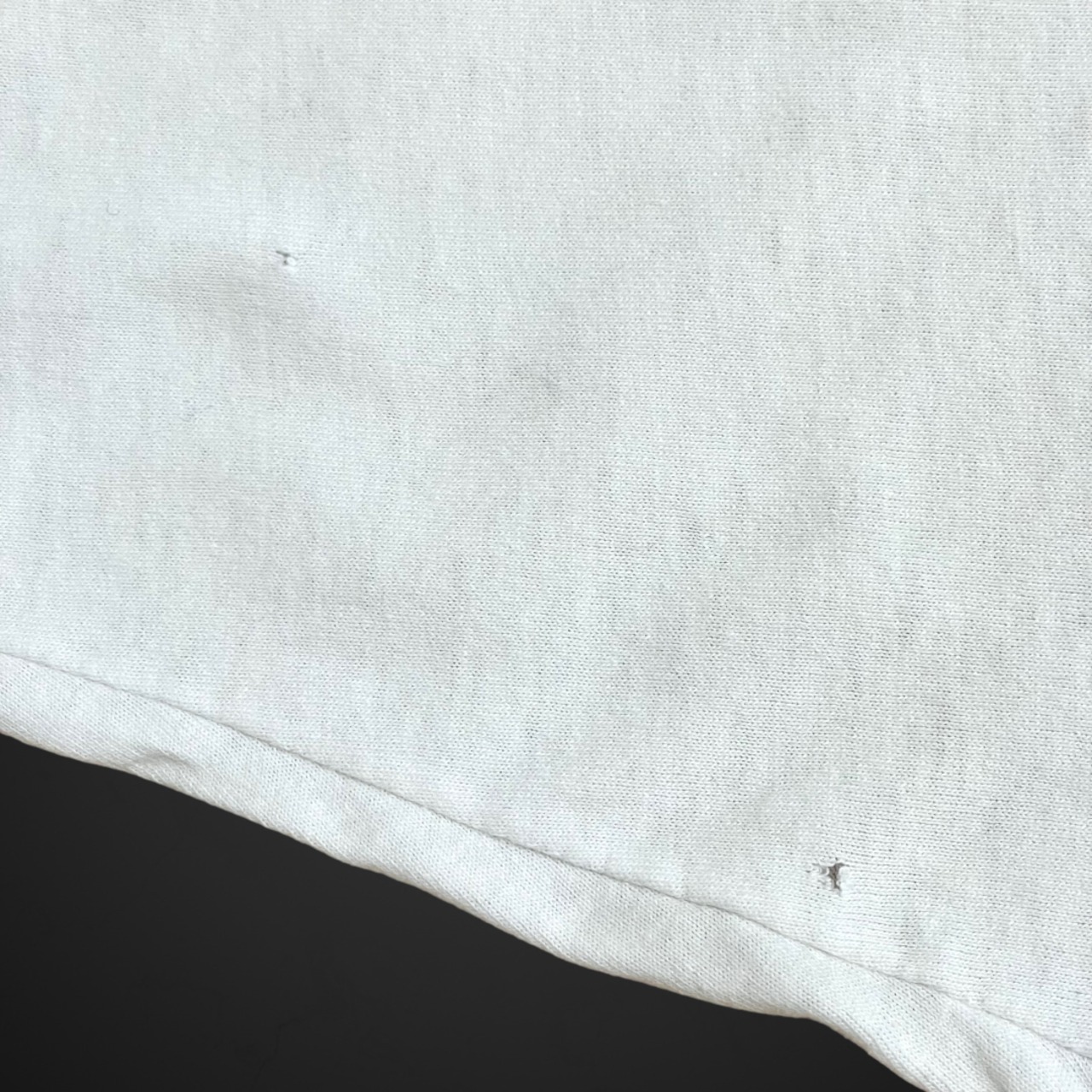 【FRUIT OF THE LOOM】90s USA素材 Tシャツ カレッジ アラバマ大学 ASA プリント ロゴ シングルステッチ ホワイト 半袖 夏物 US古着