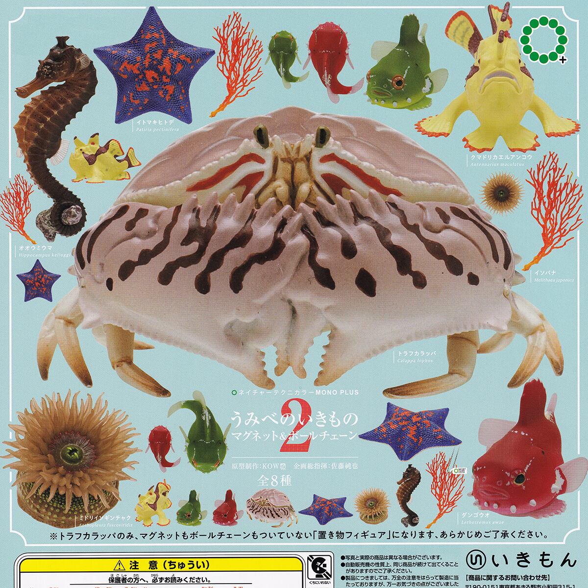 ネイチャーテクニカラー MONO PLUS うみべのいきもの マグネット