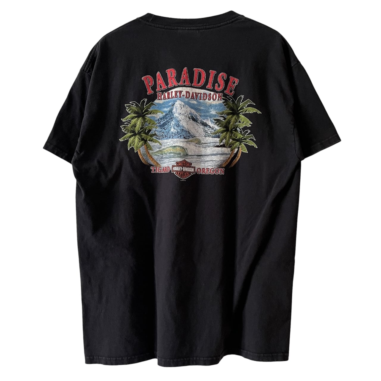 Harley Davidson 2007 Skull Flame Tee | Vintage High Line