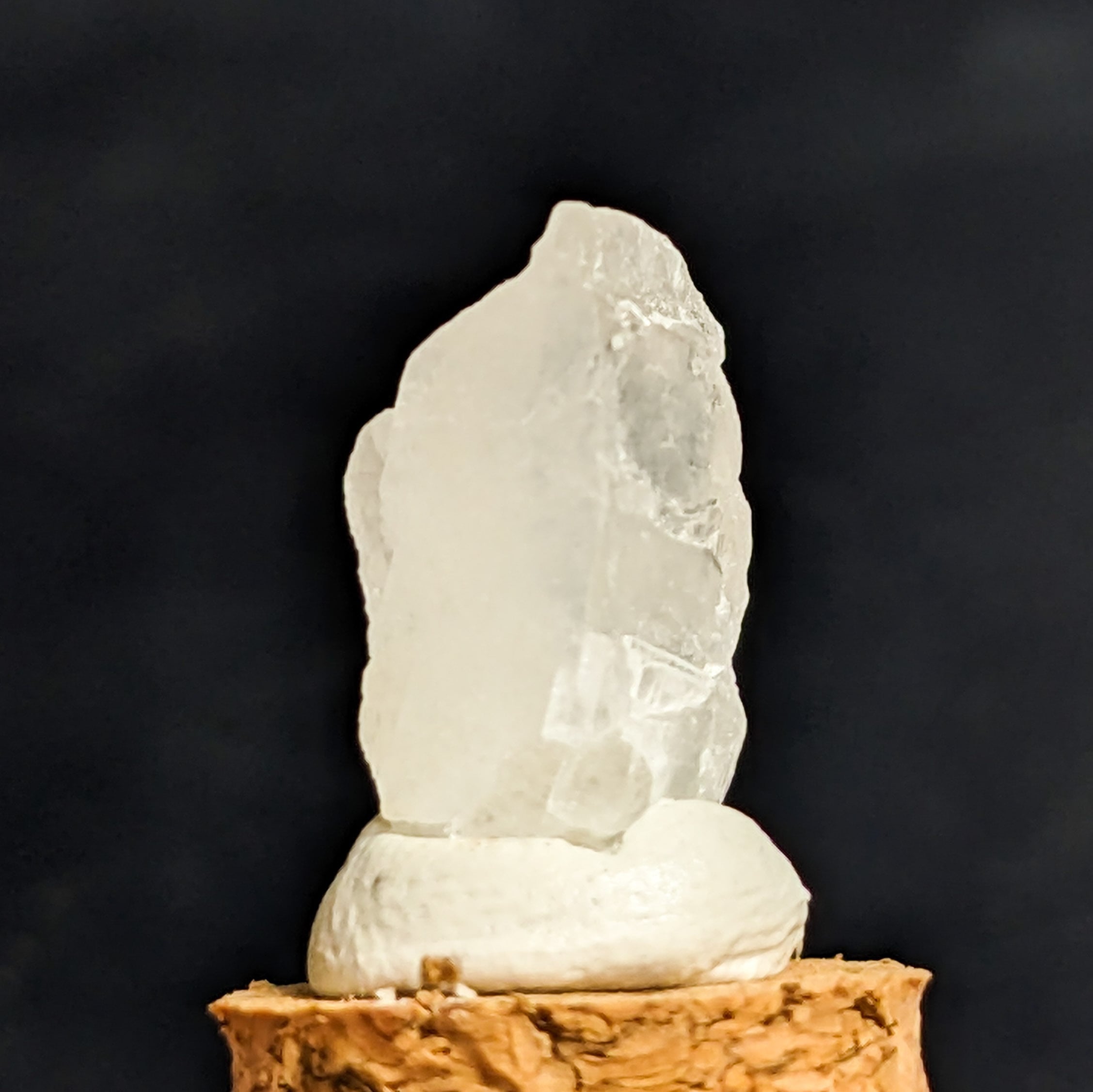 鐘乳石 鐘乳石壺 天然記念物 自然石 鑑賞石 鉱石 原石 - 科学、自然