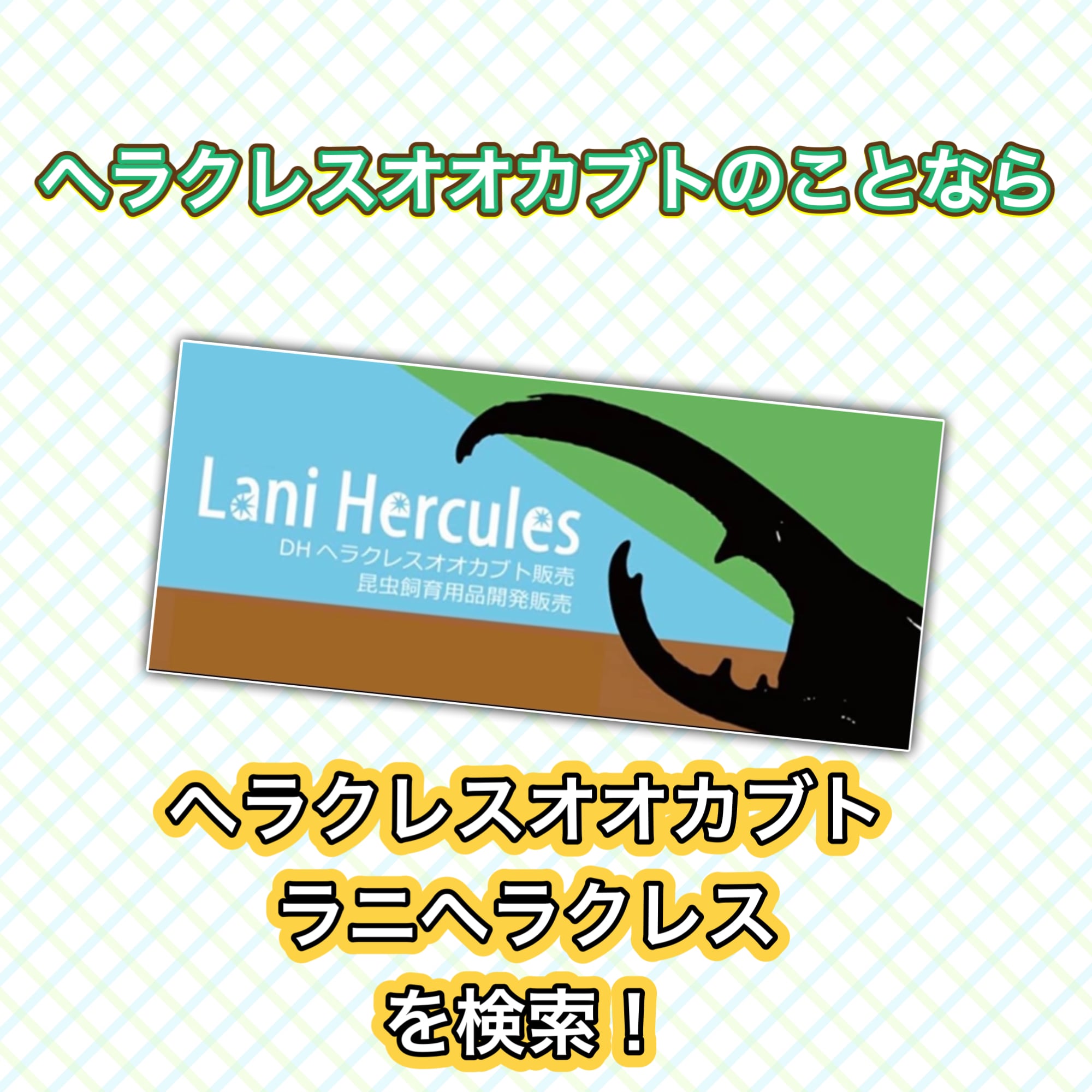 bf7504a2f6ad88db461720f9904b59