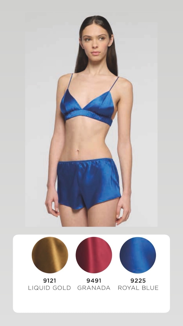 BASIC SEDUCTION 　シルクブラジャー　３色展開　　LUNA DI SETA　