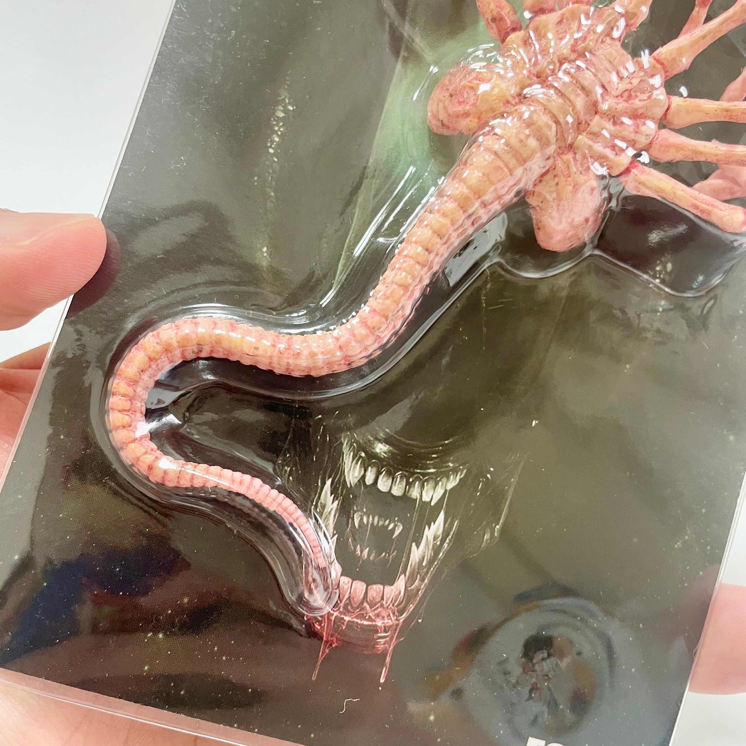 ALIEN フェイスハガー フィギュア エイリアン FIGURE | BF MERCH'S