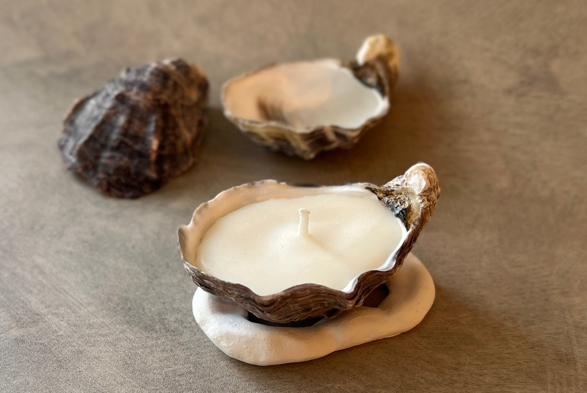 bf82b3de842c56286e56e306998892