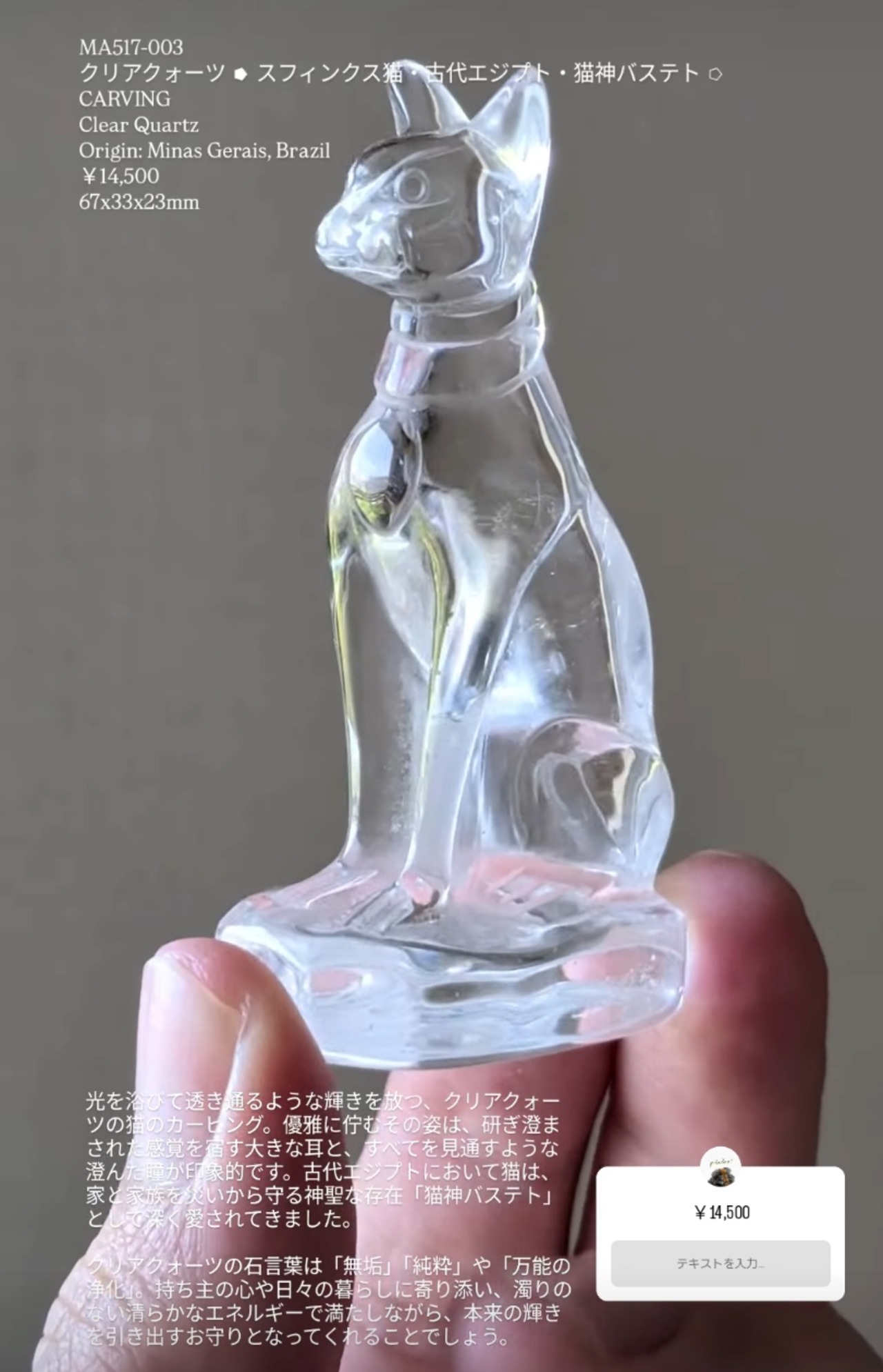 ⭔ お客様専用ページ ✦kyouka nishimura