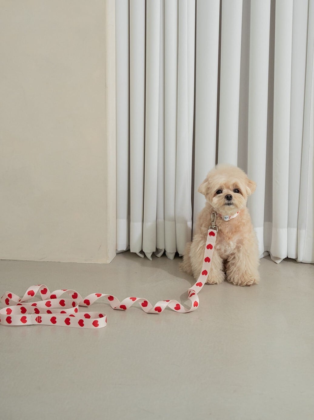 予約【ounce】heart bongbong collar《Ivory》