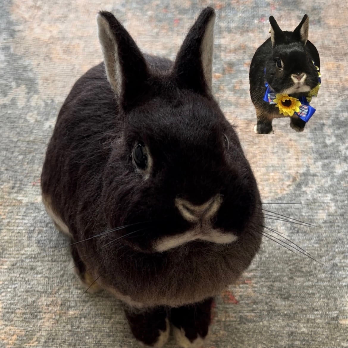 オーダーメイド】【Lサイズ】羊毛フェルト うさぎ ペット うちの子