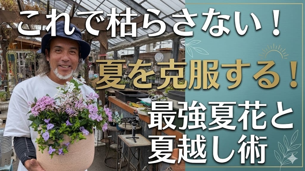 オーちゃん出品(苗おまとめ) 花苗 | オニ通