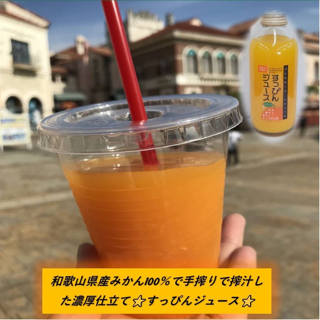 わかやま果物ジュース 6本 180ml みかん じゃばら れもん もも