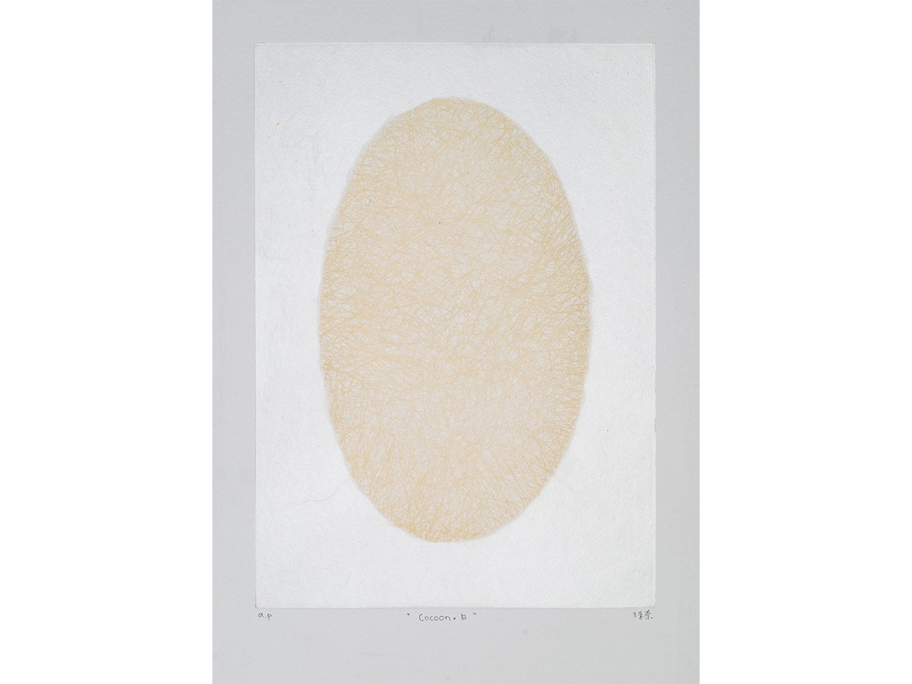 荒木珠奈「cocoon・白 」