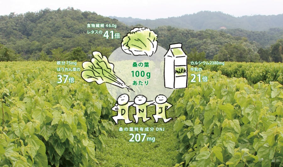 sunao わの葉茶 120g 京都産桑の葉 コラーゲンペプチド 京都から届く”身体と心がすなおになる”逸品 sunao わの葉茶 | OTTAVA