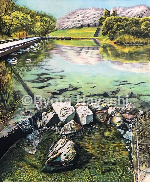 薫風清明　清瀬市金山緑地公園