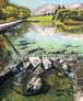 薫風清明　清瀬市金山緑地公園