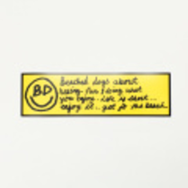 【BEACHED DAYS】BEACHED DAYS  BUMPER STICKER