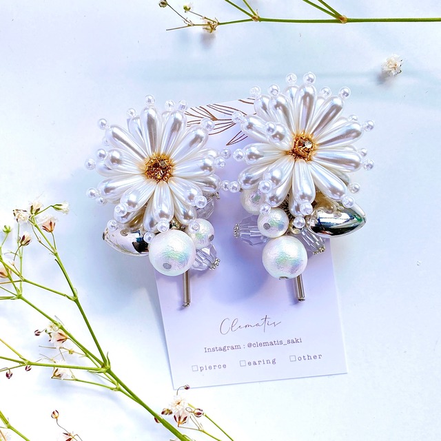 ◇P-11 Dandelion ✳︎