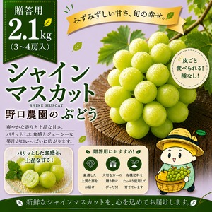 ⬛︎贈答用 シャインマスカット2.1kg（3～4房入）✮
