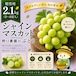 ⬛︎贈答用 シャインマスカット2.1kg(3~4房入)✮