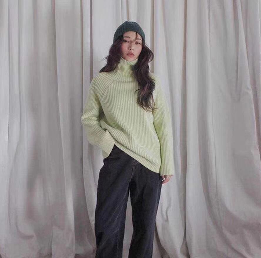 タートルネックリブニット