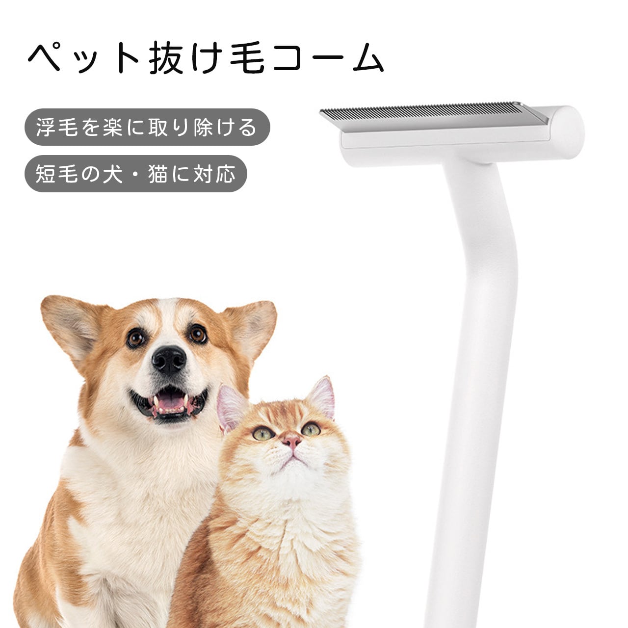 お手入れ用品 | COCOFID